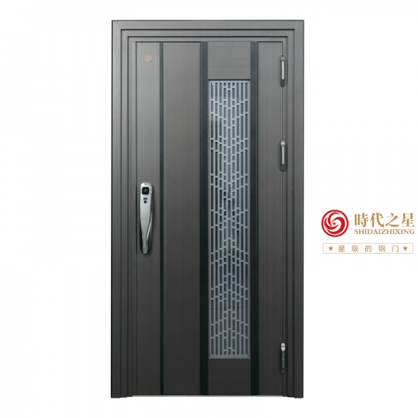 时代之星门业SD-22H12颜色：小砂纹宝马灰.jpg