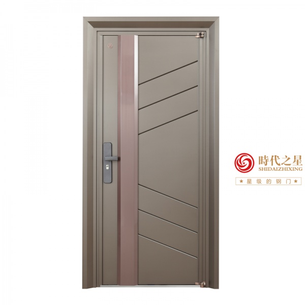 时代之星钢门SD-H-1811C颜色：绅士灰+拉丝古铜金.jpg
